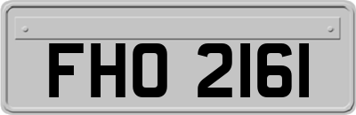 FHO2161