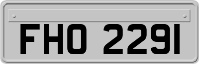 FHO2291