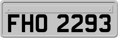 FHO2293