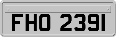 FHO2391