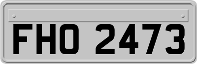 FHO2473