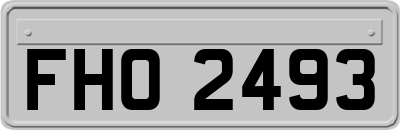 FHO2493