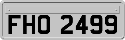 FHO2499