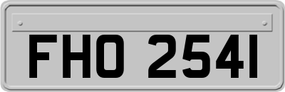 FHO2541