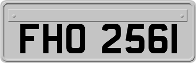 FHO2561
