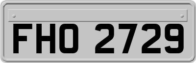 FHO2729