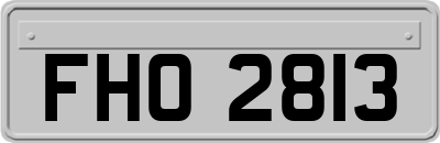 FHO2813