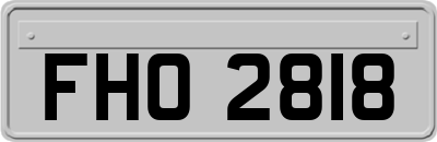 FHO2818