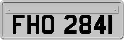 FHO2841