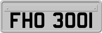 FHO3001