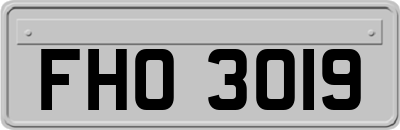 FHO3019