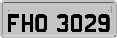 FHO3029