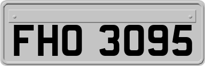 FHO3095