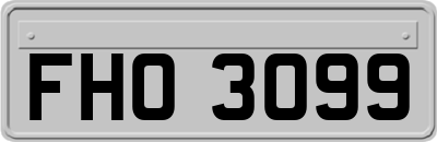 FHO3099