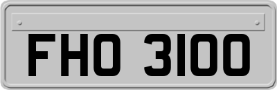 FHO3100