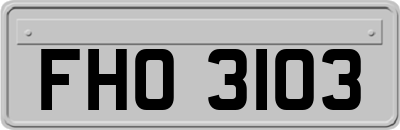 FHO3103