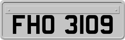 FHO3109