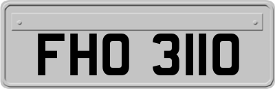 FHO3110