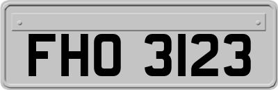 FHO3123