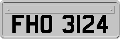 FHO3124