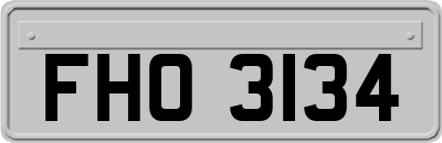 FHO3134