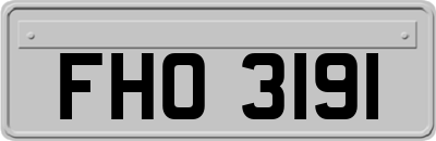 FHO3191