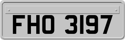 FHO3197