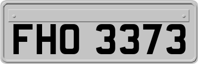 FHO3373