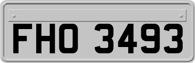 FHO3493