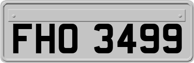 FHO3499