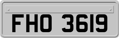 FHO3619