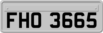 FHO3665