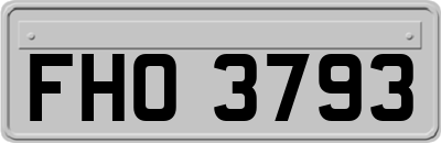 FHO3793