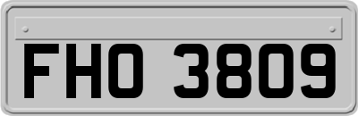 FHO3809