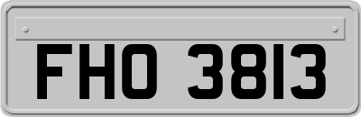 FHO3813