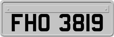 FHO3819