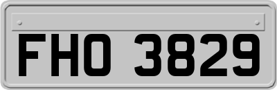 FHO3829