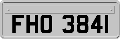 FHO3841