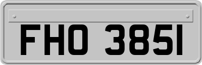 FHO3851