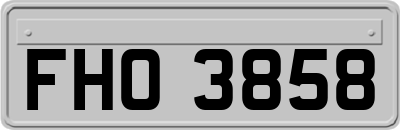 FHO3858