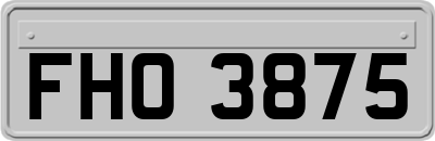 FHO3875