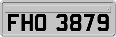 FHO3879
