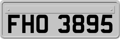 FHO3895