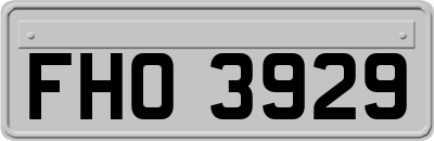 FHO3929