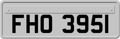 FHO3951