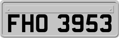 FHO3953