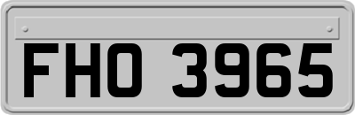 FHO3965