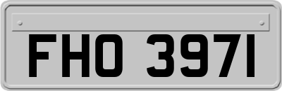FHO3971