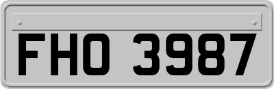 FHO3987