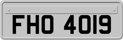 FHO4019